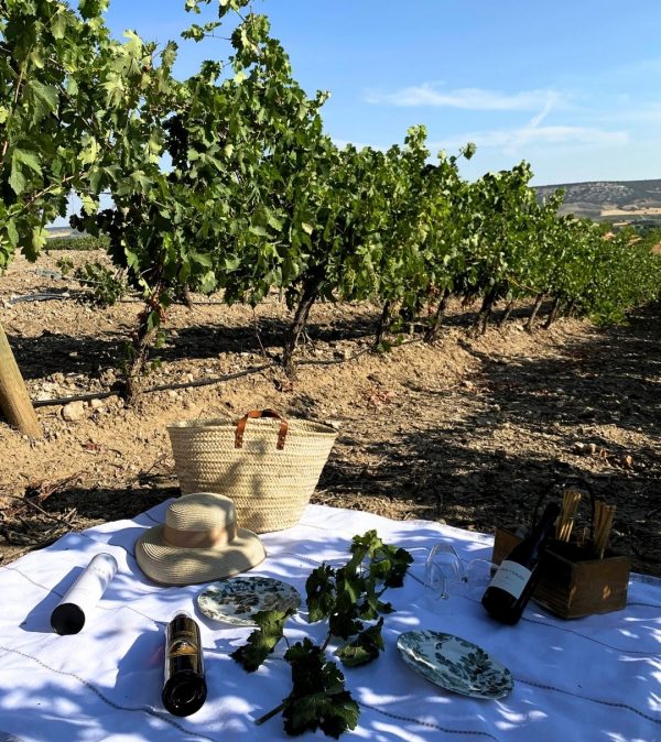 Experiencia Viñedo Adultos