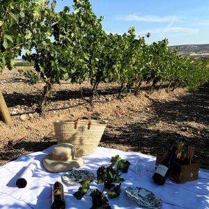 Experiencia Viñedo Niños